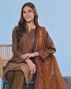 Woman wearing a brown traditional outfit with intricate patterns on a light blue background