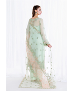 Woman wearing a light green embroidered saree with a white background