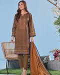 Woman wearing a brown embroidered outfit with a matching dupatta against a blue sky background.